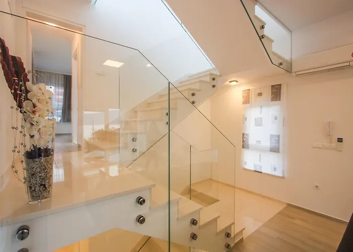 Leona فيلة تروغير